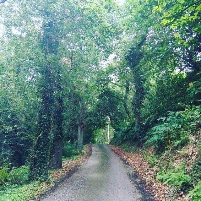 Somavilla Cantabria Buitenkant foto