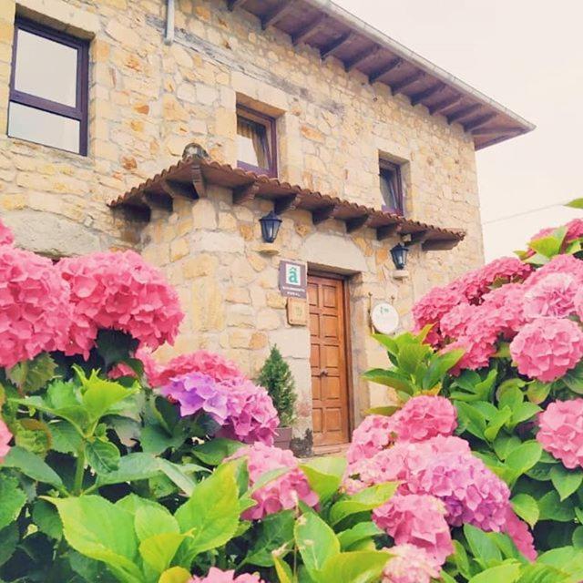 Somavilla Cantabria Buitenkant foto